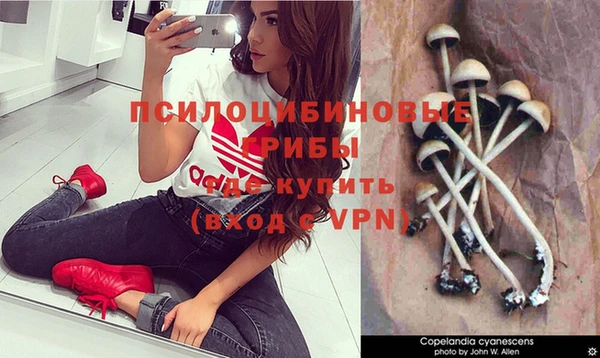 трава Костерёво